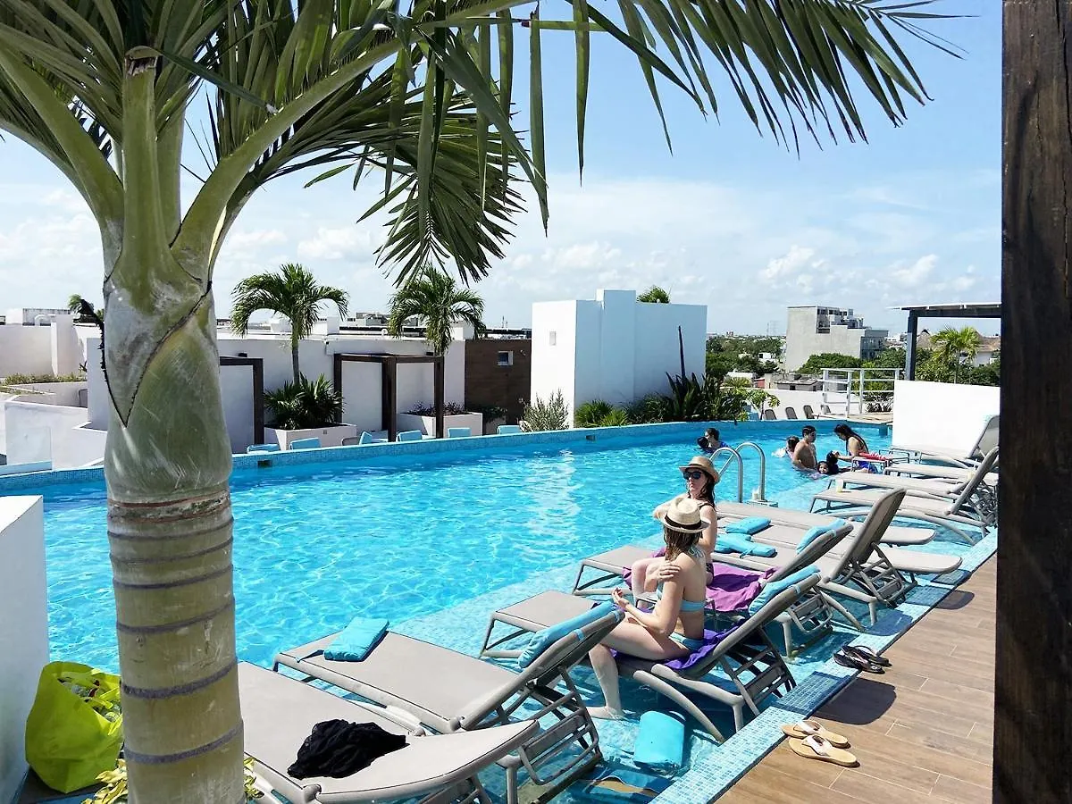 Studio W/Rooftop Pool Only 2 Mins From The Beach Playa del Carmen 0*,